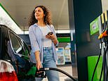 WFH to save fuel! Labour should encourage workers to stay at home amid looming shortages, says former BP boss, as average diesel and petrol prices stop climbing for first time in more than 40 days
