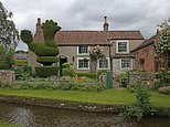 Yew cannot be serious! Cockerel hedge that was village landmark for 110 years is chopped down and replaced with gargoyle