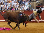 I’ve never felt pain like it, says Spain’s King Of Matadors from his hospital bed a day after bull perforated his rectum in horrific goring 