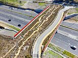 The £3.7million ‘green bridge’ to help snakes and toads cross busy A-road to heathland