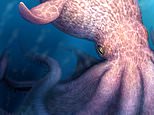 The real-life KRAKEN: Giant octopuses the same size as sperm whales roamed the oceans 72 million years ago, study finds