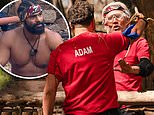 Ant and Dec confirm the whole I’m A Celebrity cast will be at the live final after fears Jimmy Bullard wouldn’t attend following Adam Thomas row – amid David Haye ‘bullying’ drama