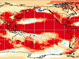 Brace yourself for a SUPER El Niño: Likelihood of unusual climate pattern skyrockets – as scientists warn it could push global temperatures to record highs