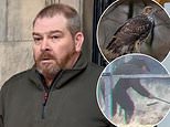 Gamekeeper who bludgeoned a rare bird of prey to death after becoming ‘frustrated’ is spared jail