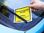 Record number of parking tickets quashed last year after appeals soared to 107,202 amid growing drivers’ anger at ‘cowboy’ operators