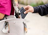 How to outsmart a pickpocket: Expert reveals the anti-theft gadgets tourists should always carry while travelling, as report reveals travel scams are at an all-time high