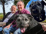 Gone Fishing dog Ted dead: Bob Mortimer and Paul Whitehouse pay tribute to beloved TV terrier who quickly became a fan favourite