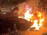 Prime Minister’s sister-in-law says she was ‘struggling to breathe’ and feared for daughter’s life after arsonists firebombed his constituency home