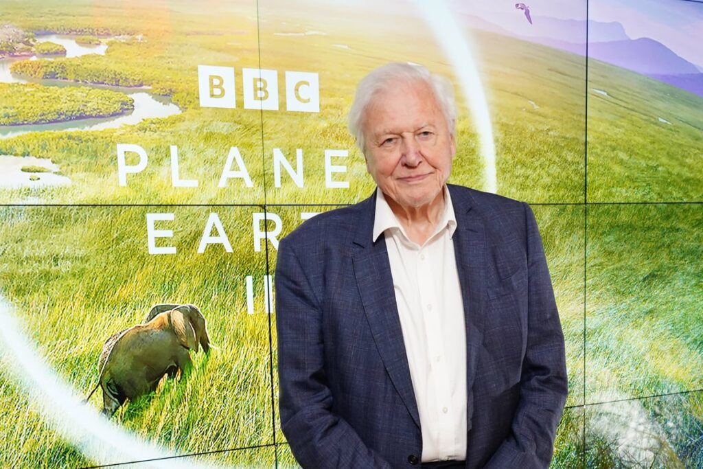 Chris Packham hails David Attenborough as ‘most influential advocate for life’