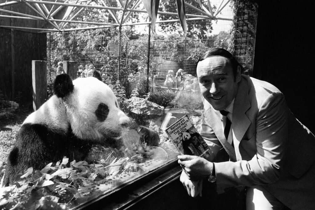 Desmond Morris remembered for ‘lifetime of curiosity and creativity’