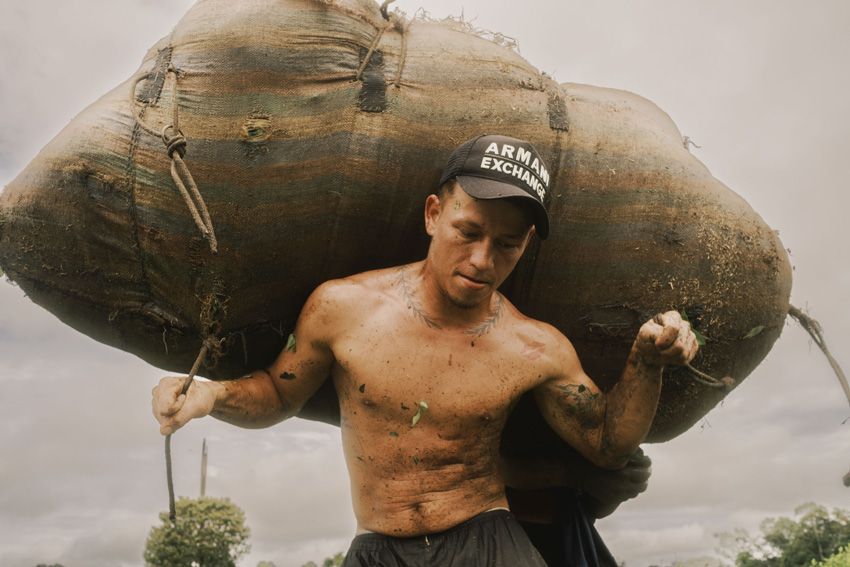 These are the stunning images of the Sony World Photography Awards 2026 — and there are some surprising camera choices among the winners