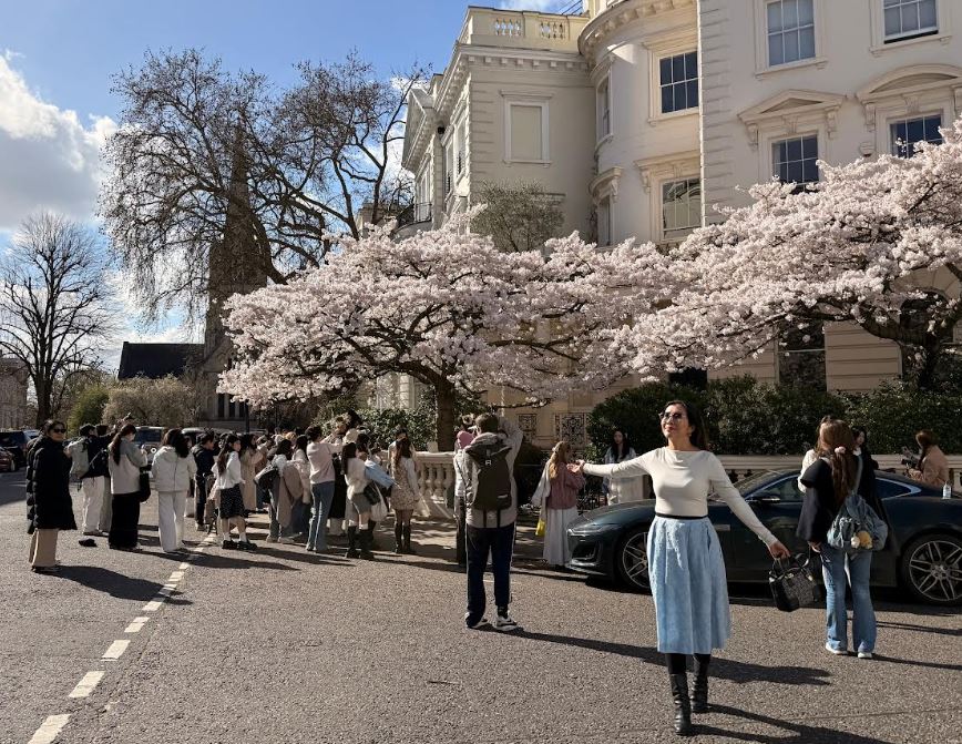 Wisteria hysteria warning: ‘We will take action,’ says London council as crowds of influencers seek stunning pictures