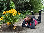Meet the ‘vigilante’ landscaper fighting potholes… one flower at a time