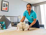 Inside the secret art of hotel towel twisting: Artist reveals how she makes fluffy crocodiles, frogs, dogs and tiny bunnies for guests