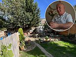 How to make £150,000 selling a slice of your GARDEN: thousands of UK properties are suitable – and homeowners have now paid off their mortgages. Here’s exactly what to do…