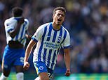 ‘I worked harder than everyone to prove I was ready’: Brighton star YASIN AYARI on winning over ‘very demanding’ Fabian Hurzeler, bouncing back from his ‘s***’ Championship loans and his World Cup ambitions with Sweden