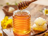 Honey is latest British staple to fall victim to Starmer’s ‘surrender’ deal as firms ‘could be forced to throw away thousands of tonnes’