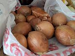 Can you spot the potato hidden among the bag of onions in infuriating optical illusion in under 30 seconds