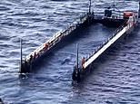 Timmy the whale tries to make a break for it – stranded humpback attempts to escape barge during ‘doomed’ multi-million-pound rescue mission