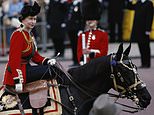 All the Queen’s horses: Elizabeth II’s best-loved steeds remembered 100 years after her birth