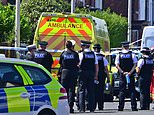 PETER HITCHENS: One thing is linking these savage acts of violence being carried out day after day on our streets… and it’s not what you’re being told it is