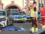Two dead and more than 20 injured after car ploughs into crowd in Germany: Driver, 33, is arrested
