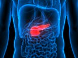 Finally a shred of hope for deadly pancreatic cancer victims as new drug gives precious extra months of life – ‘unprecedented’ breakthrough DOUBLES survival