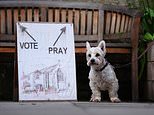 It’s dogs at polling stations! Best pictures as voters take their four-legged friends with them to cast their ballot at local elections
