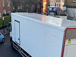 ‘Whole Foods has turned our Chelsea street into an industrial estate’: Wealthy residents say ‘army’ of HGV delivery trucks are demolishing walls, ripping down trees and ruining pavements