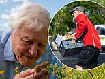 Keep very still and you might just spot him… the very busy British postman delivering crates of David Attenborough’s 100th birthday cards