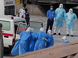 Bizarre prediction of a 2026 hantavirus epidemic from four years ago grips social media as conspiracy theories sweep the internet