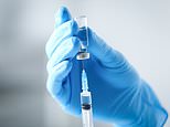 Scientists are rushing to develop a hantavirus VACCINE – but experts warn it could take years to be approved