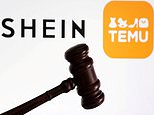 Fast fashion site Shein sues rival Temu over claims of copyright theft – after itself being accused of stealing designs from garment makers