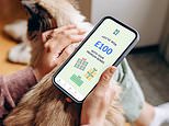 Don’t dump your Premium Bonds just yet – here’s why I expect rates to rise… and soon: SYLVIA MORRIS