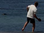 Vile tourist filmed hurling rock at Hawaiian seal then bragging ‘I’m rich’ offers astonishing excuse for his behavior
