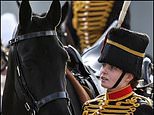 Female soldier who died after she was thrown from her horse moments after performing in front of the King ‘was dragged under heavy gun carriage’