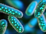 Turbocharging immune system could mean end of antibiotics