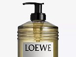 What the soap in your bathroom says about YOU – from anti-bac brands that scream ‘reliable’ to £60 ‘status symbol’ designer handwashes (that only come out for guests)