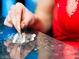 The middle-class mums snorting COCAINE before the school run: Marissa and Selina have enviable lives but take the drug because it’s ‘better than wine’. Now they tell us how they get away with it – and why so many are like them…