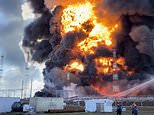 PETER HITCHENS: This is the ultimate proof that we no longer live in a free and safe country. No one else is talking about it – but I must…