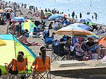 Is the heatwave going to bring record-breaking temperatures in YOUR area? Check with our interactive tool