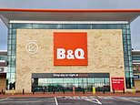 B&Q owner Kingfisher suffers a slowdown in sales after a fall in demand for big-ticket items