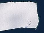 Antarctic researchers are left without crew accommodation and fuel supply after gigantic ice sheet breaks off and floats away