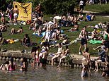 Backlash at selfish Hampstead Heath swimmers grows after three days of splashing, throwing balls and taking dogs for a dip at bird paradise pond during nesting season