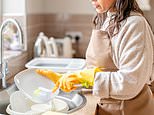CLARE FOGES: No, I do not pay a migrant from Bulgaria to scrub my toilet, and I think it’s a disgrace that so many people do
