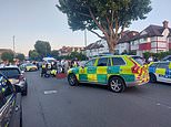 Iranian man is fighting for his life after ‘hit-and-run’ near memorial wall in Golders Green: Iraqi national arrested