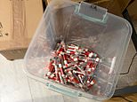 Country estate exposed as huge weight loss drugs factory: Two men, 29, are arrested after UK’s largest ever seizure of illegal jabs