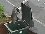 ‘Cat Bin Lady’ Mary Bale was reviled around the globe when she threw Lola the moggie in a wheelie bin. Now, 16 years on and a recluse, she still can’t live with the shame