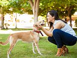 Study finds the questions British pet owners wish they could ask their beloved animals