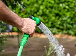 Stop using hosepipes, says Thames Water amid fears of shortages after record-breaking heatwave